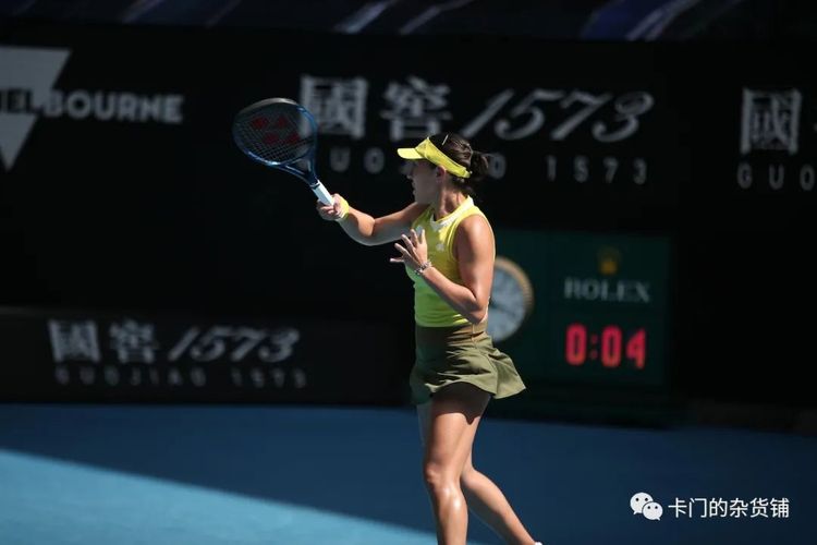 包括股东在 包括股东在